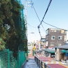 전신주 대못 뽑은 성동… 감사원장 표창 받았다