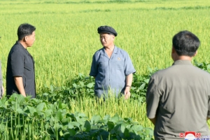 ‘식량난’ 북한, 인도·베트남에도 손 벌렸나… “농부도 굶주려”