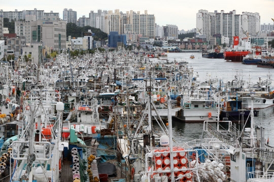 태풍 ‘힌남노’가 한반도에 다가옴에 따라 1일 경북 포항 동빈내항에 많은 어선이 대피해 있다. 연합뉴스