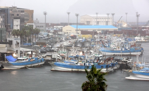 태풍 힌남노가 한반도를 향해 북상하는 가운데 2일 오전 제주 서귀포항에 어선들이 대피해 있다. 2022.9.2 연합뉴스