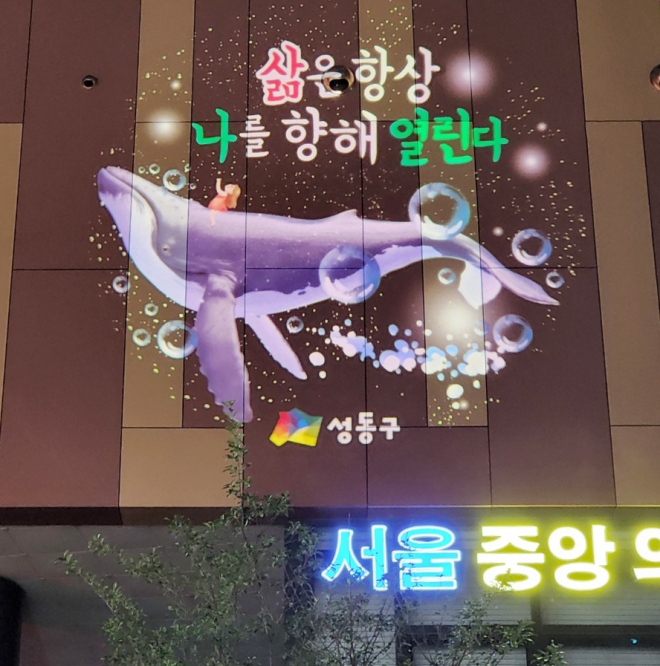 서울 성동구 성수1가2동 주민센터 벽면에 설치된 로고라이트의 모습. 성동구 제공