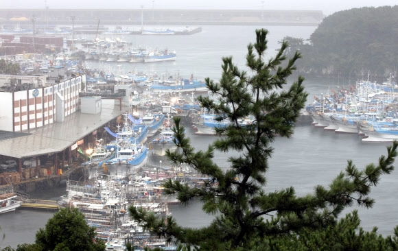 태풍 힌남노가 한반도를 향해 북상하는 가운데 2일 오전 제주 서귀포항에 어선들이 대피해 있다. 연합뉴스