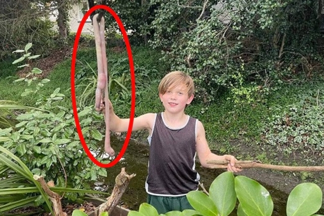 뉴질랜드 남섬의 한 가정집 마당에서 몸길이 1m의 초대형 지렁이가 발견됐다. 해당 보도 캡처
