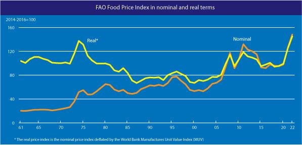 유엔 식량농업기구(FAO)의 세계식량가격지수 추이. 주황색이 명목, 노랑색이 실질 지수. 농림축산식품부 제공