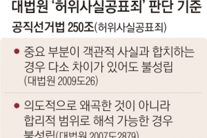 ‘친형 강제입원’ 대법 판례가 李 다시 살릴까