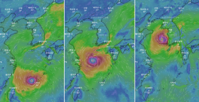 24호 열대저압부가 제12호 태풍 무이파로 발달해 한반도 방향으로 북상할 가능성이 예측된다. 오는 13일(왼쪽), 14일(가운데), 15일(오른쪽) 각 정오 기준 태풍의 이동 경로. 윈디닷컴 캡처