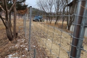 “추석 연휴 ASF로부터 돼지를 지켜라”…지자체들, ASF 유입 차단 총력전