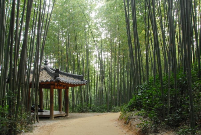 담양 죽녹원
