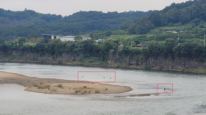 고랑포구와 호로고루성 사이 임진강에 들어가 낚시하는 사람들(빨간색 네모 안)