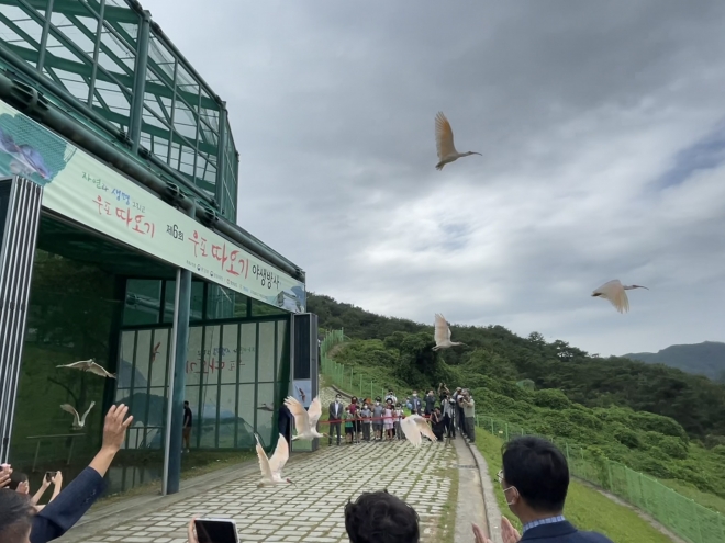 우포따오기복원센터 여섯번째 따오기 자연방사  