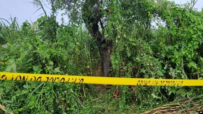 인도에서 10대 자매가 나무에 매달린 채 시신으로 발견됐다. 로이터통신