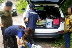 “임산물 불법 채취 안 돼요”…경북 북부 시군 내달까지 특별단속