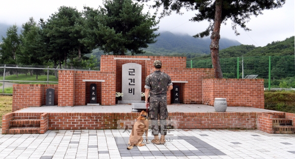 충성스러운 犬生 잊지 않으리 훈련소 안에 있는 군견추모공원에서 군견병과 군견이 추모하고 있다.