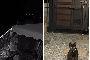 이상아 “고양이 차에 치여 사망…딸이 직접 봐 더 충격”