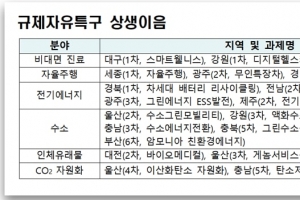 규제자유특구끼리 뭉친다… 협력 네트워크 ‘상생이음’ 출범