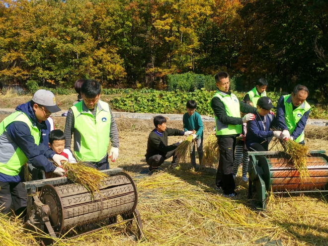 2018년 서울 도봉구가 무수골 논에서 진행한 전통 벼베기 행사에 참여한 구민들이 직접 탈곡을 하고 있다. 도봉구 제공