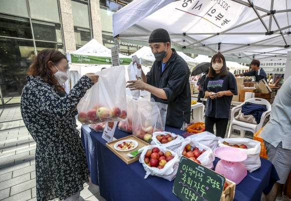 농수산물 30% 싸게 사는 ‘서울시 농부의 시장’