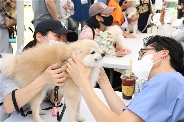 서울 강동구가 지난 24일 개최한 ‘제5회 강동 동물사랑축제’ 건강상담 부스에서 한 반려인이 상담을 받고 있다. 강동구 제공