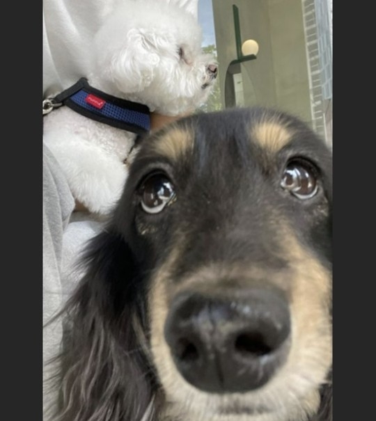 인스타그램 캡처