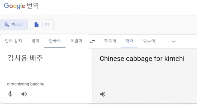 구글 번역기에서 ‘김치용 배추’를 검색하면 ‘Chinese cabbage for Kimchi’(김치를 위한 중국 배추)로 번역된다