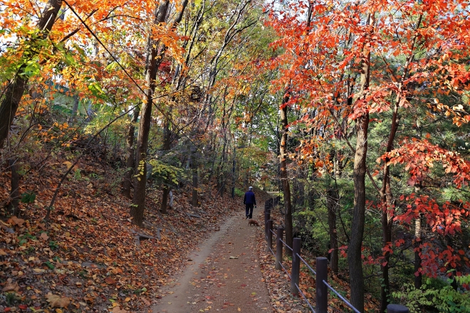 지난해 11월 동작충효길 3코스 노량진길 대방동 근린공원 모습. 동작구 제공.