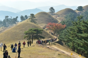 가을 정취 속에 고령 지산동 고분군 숨결 느껴 보세요