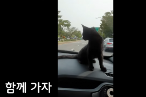 ‘다홍이♥’ 박수홍, 새 영상으로 소식 전했다