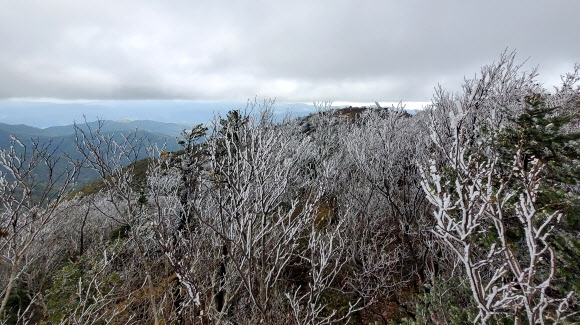 자연이 만든 수채화