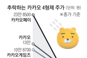 카카오 끝 모를 추락… 주주 달래기 안 통하고 쪼개기 상장 논란