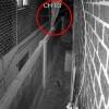 “샤워 중 수상한 움직임…담벼락 탄 남성, CCTV 꺾고 훔쳐봤다”
