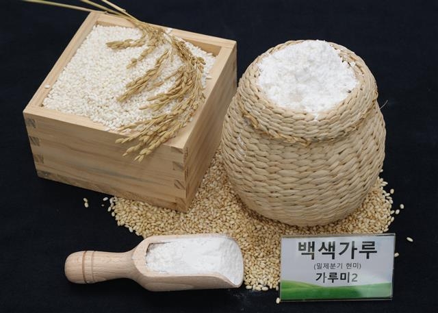 정부가 보급종으로 공급하는 가루쌀. 일반쌀보다 밀도가 낮아 가공하기 쉬워 빵, 과자, 맥주 원료로 쓰인다. 국립식량과학원 제공