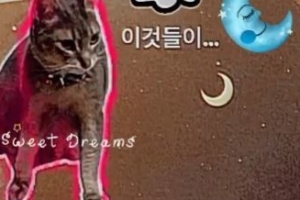 지드래곤 1시 11분에…‘딸바보’ 인정했다