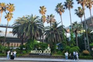 당신이 지난 여름 제주 어딜 여행했는지 알고 있다