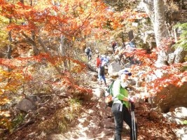 설악산 오색지구 주차편의시설이 대폭 늘어나 관광객들의 불편을 덜게됐다. 단풍철 설악산을 찾는 관광객들이 부쩍 늘었다. 자료사진