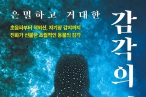 4m 밖 미세한 떨림도 감지하는 거미, 그 미친 감각이 흔들린다?