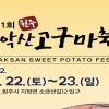 첫 ‘치악산 고구마축제’, 22~23일 원주서 열려