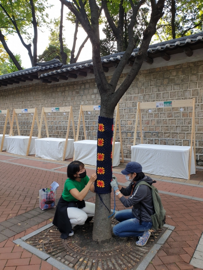 중구 구민들이 손수 뜬 뜨개옷을 나무에 입히는 ‘그래피티 니팅’ 작업을 하고 있다. 　중구 제공