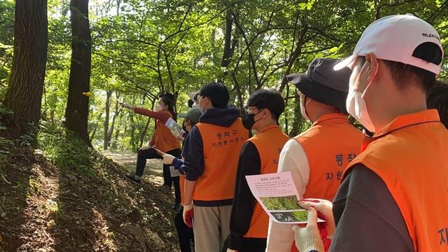 서울 동작구자원봉사센터가 진행한 생태계 교란식물 제거 봉사활동에 나선 동작구 주민들이 지난 15일 용마산길 일대에서 교란식물 제거 작업을 하고 있다. 동작구 제공