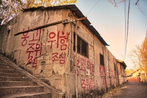 [박상익의 사진으로 세상읽기] 배신의 계절/우석대 명예교수