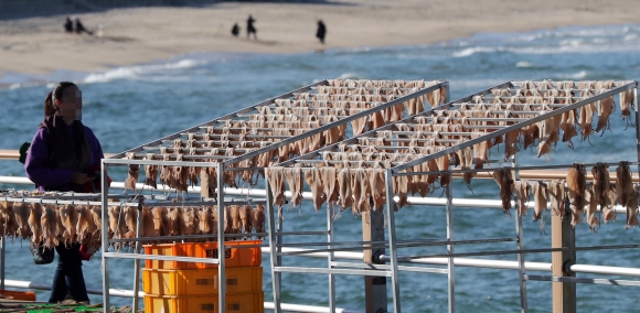 주문진 바닷가 ‘늦가을 정취’