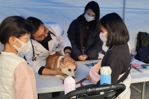 “함께하는 펫 에티켓”… 노원, 반려동물 축제