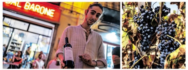 이탈리아 시칠리아 팔레르모 골목에 위치한 시칠리아산 내추럴 와인 전문 바(왼쪽 사진). 시칠리아는 매력적인 와인 산지가 아니었지만 1980년대부터 내추럴 와인의 기반을 다져 오면서 최근 내추럴 와인 산지로 부상하고 있다. 오른쪽 사진은 내추럴 와인 생산자인 오키핀티 가문의 와이너리에서 재배하는 토착 포도품종 ‘네로 다볼라’.