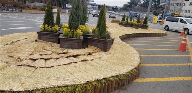 지난해 겨울철 서울 동작구 현충원 앞 화단에 제설제 피해 예방 차단막이 설치된 모습. 동작구 제공