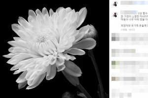 박세리, 애도…“상상할 수 없는 가슴아픈 일”