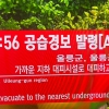 [속보] 울릉군 “공습경보 사이렌 울려”…北, 울릉도 방향 탄도미사일 발사