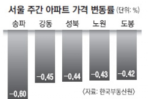 서울 아파트값 23주째 하락… 잠실은 한 달 새 2억 떨어져