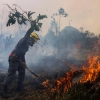 아마존 불법 벌채 전쟁 나선 룰라 당선에 브라질·인니·콩고 ‘열대우림 OPEC’ 뜬다...COP27 개막