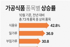 한 번 오르면 안 내리는 가공식품값… 물가상승 기여도 기름값 앞질렀다