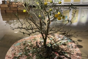 제주감귤 ‘문화’ 박람회 내일 개막