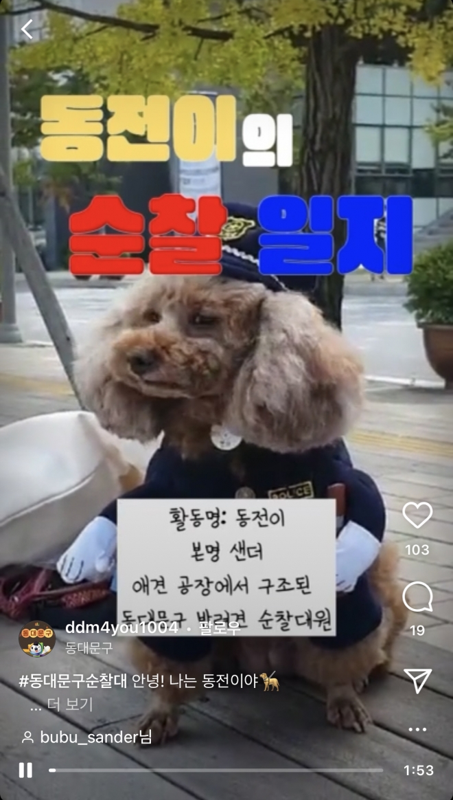 서울 동대문구 인스타그램에 게시된 구 반려견 순찰대 ‘동전이의 순찰일지’ 영상 캡처. 동대문구 제공. 